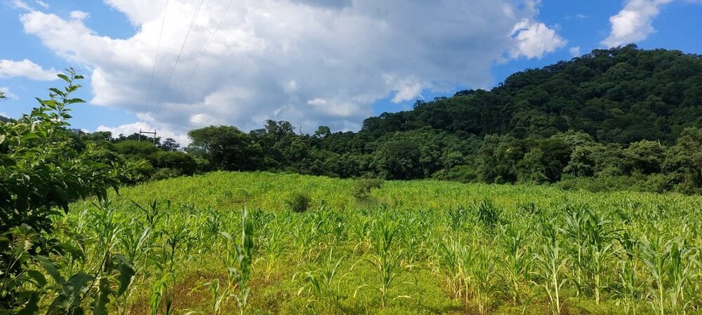 WhatsApp Image 2022-01-13 at 12.48.49 PM.jpeg