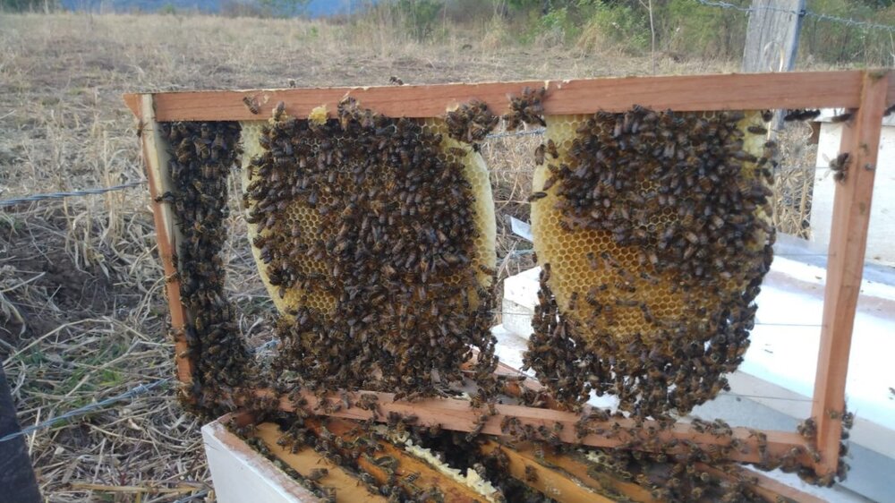 WhatsApp Image 2022-11-16 at 7.35.58 AM.jpeg