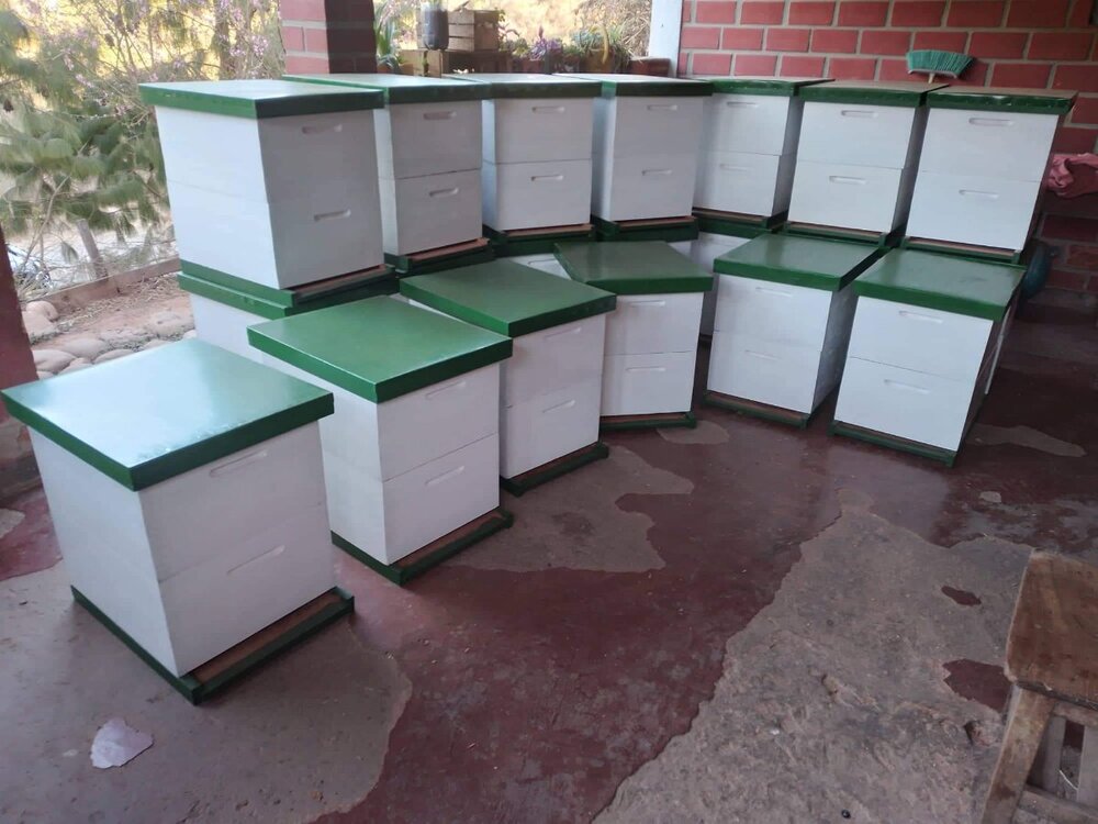 WhatsApp Image 2022-11-16 at 7.26.50 AM.jpeg