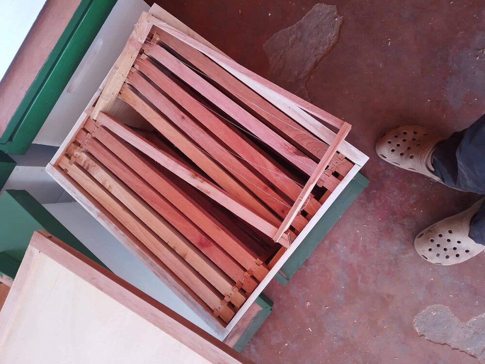 WhatsApp Image 2022-11-16 at 7.26.27 AM.jpeg